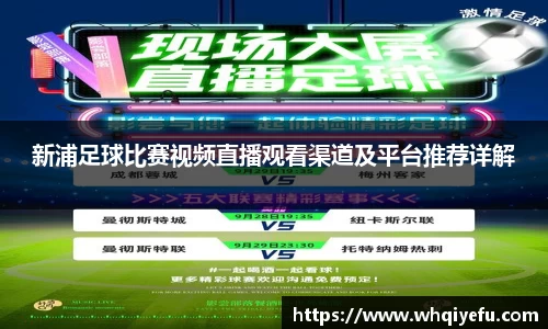 新浦足球比赛视频直播观看渠道及平台推荐详解