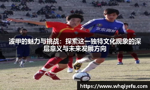 波甲的魅力与挑战：探索这一独特文化现象的深层意义与未来发展方向